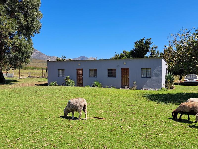 11 Bedroom Property for Sale in Kareedouw Eastern Cape